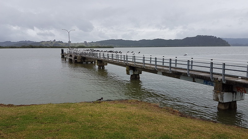 "The Birds" Horeke wharf