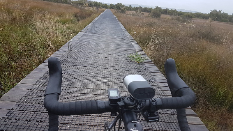 Down on the boardwalk, by the sea