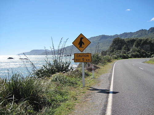 New Penguins or have they moved?