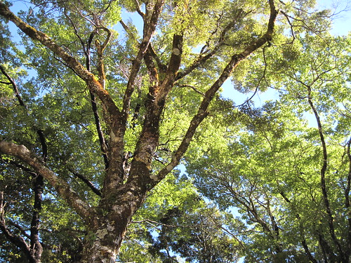 Coast to Coast 2011 2011-03-23 049