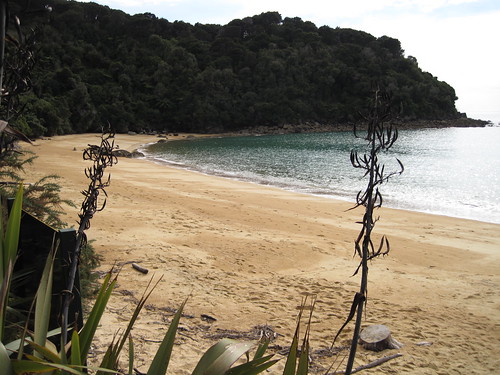 Pukatea Bay