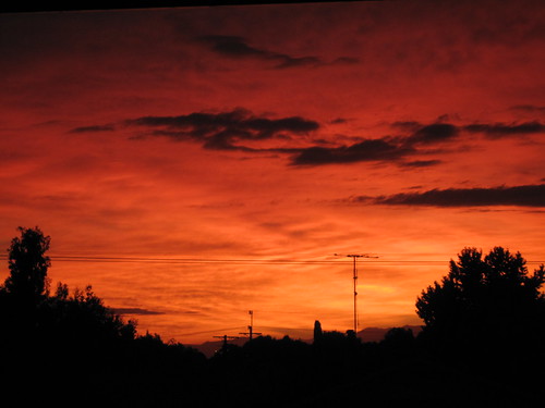 Motueka Sunrise. I don't see many of these