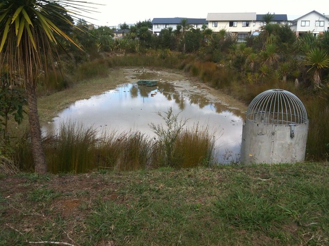 Drought pond