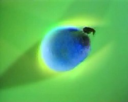 FleamundHillaryEverest03