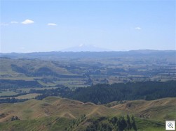 Mt Ruapehu  from Stormy Point Lookout