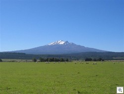 Mt Ruapehu in the Tongariro National Park