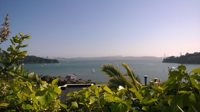 Tiburon Views