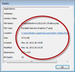 SnagitEditorError2012-05-17details