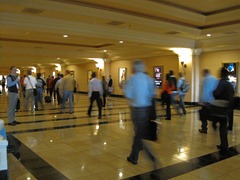 IMG_3310 IMG_3310