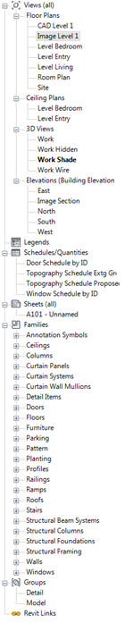 Snagit_10_Ravit_Browser