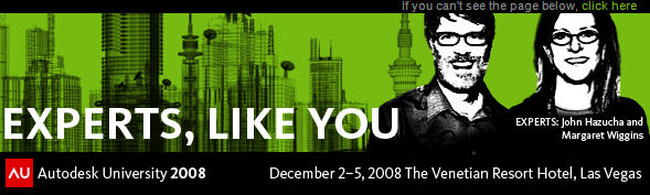 AU2008_Experts