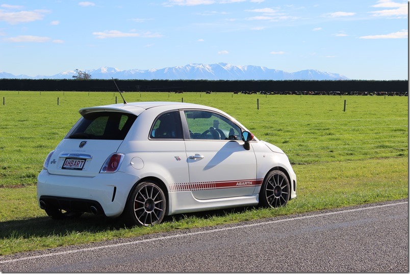 Southern Alps from the plains