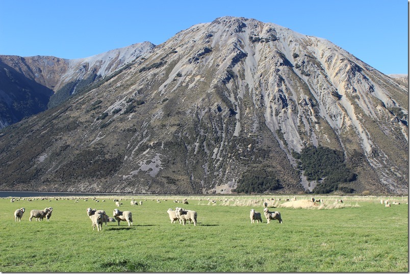 Southern Alps Great Alpine Way 27