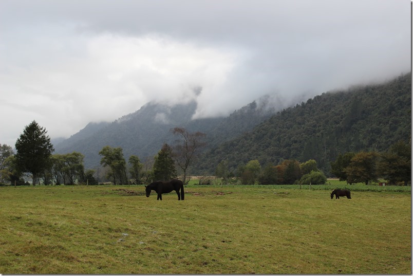 Towards Lake Brunner