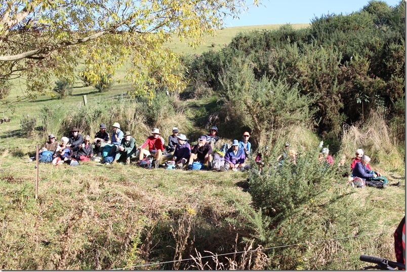 A2O Burnside Homestead to Oamaru
