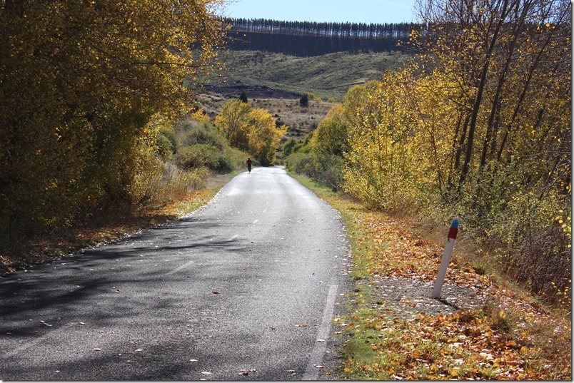 Lake Aviemore Ride
