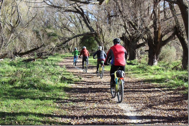 Alps to Ocean Trail