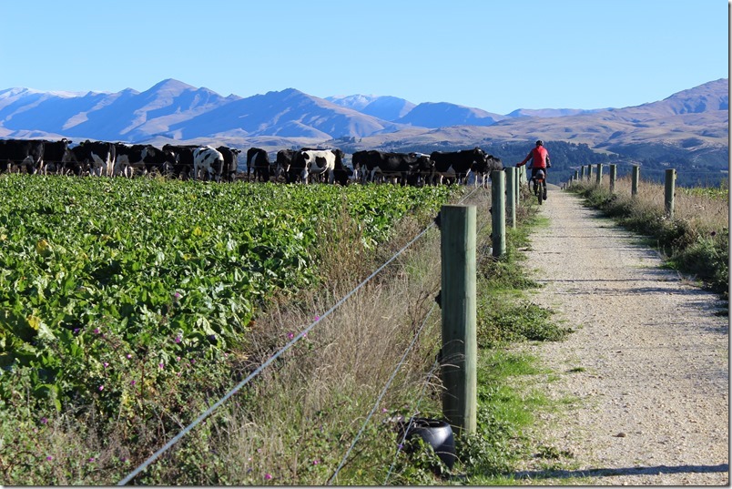 Alps to Ocean Trail