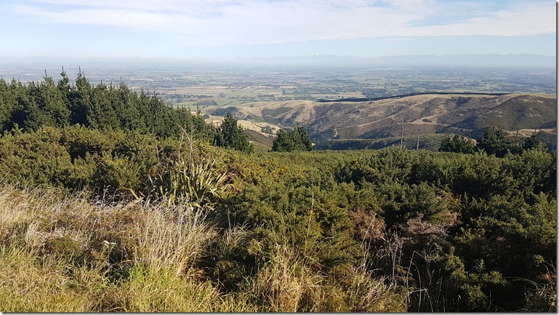 Port Hills View