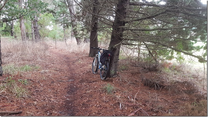 Kaikōura Cycle Trails