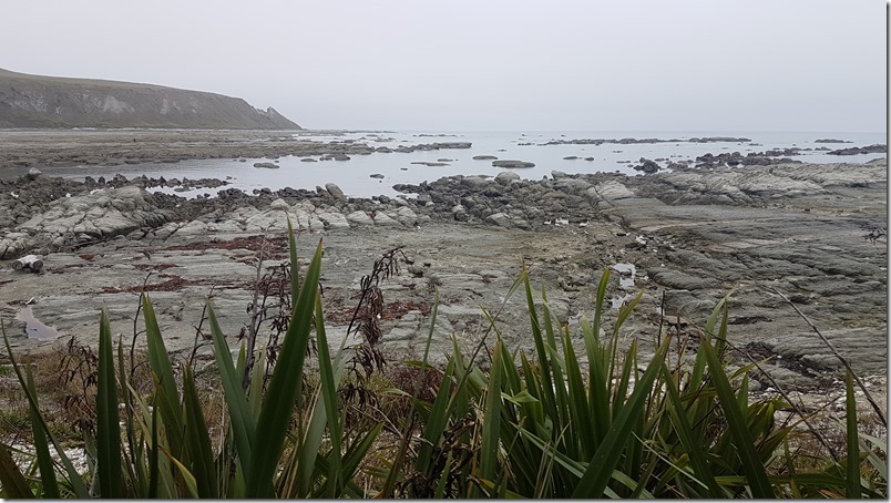 South Bay Kaikōura