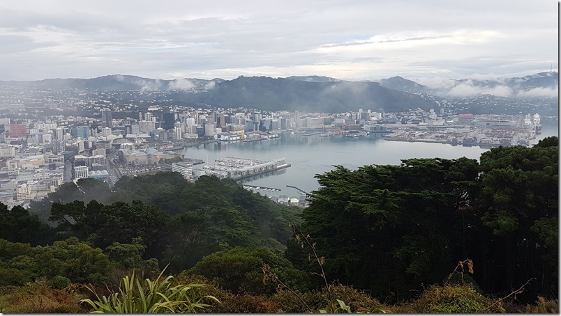 Wellington from Mt Victoria