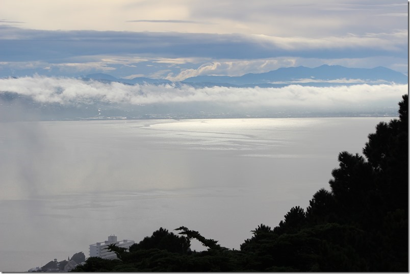 Wellington Harbour from Mt Victoria