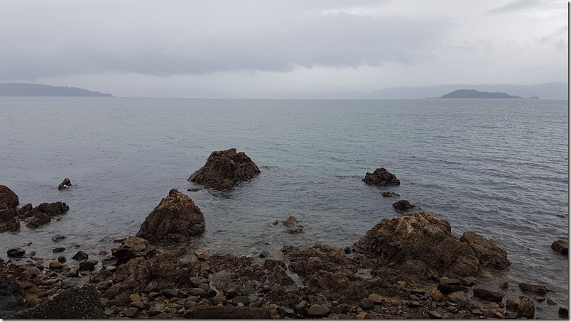Eastbourne Harbour View