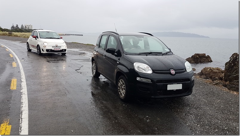 AHBART's Panda cousin