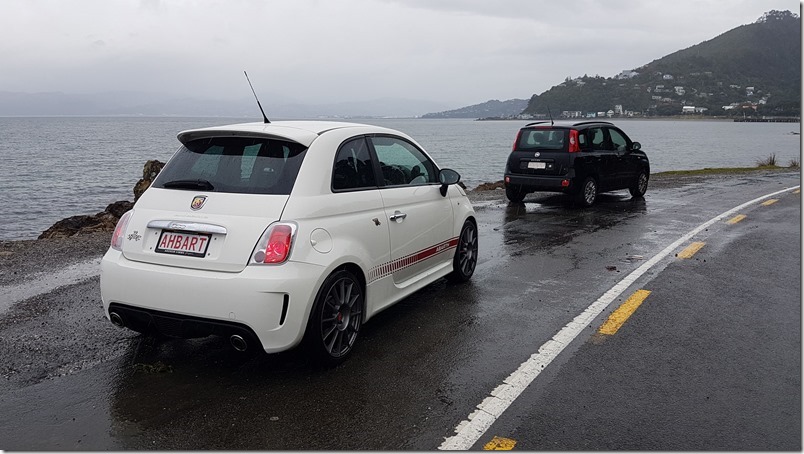 AHBART's Panda cousin