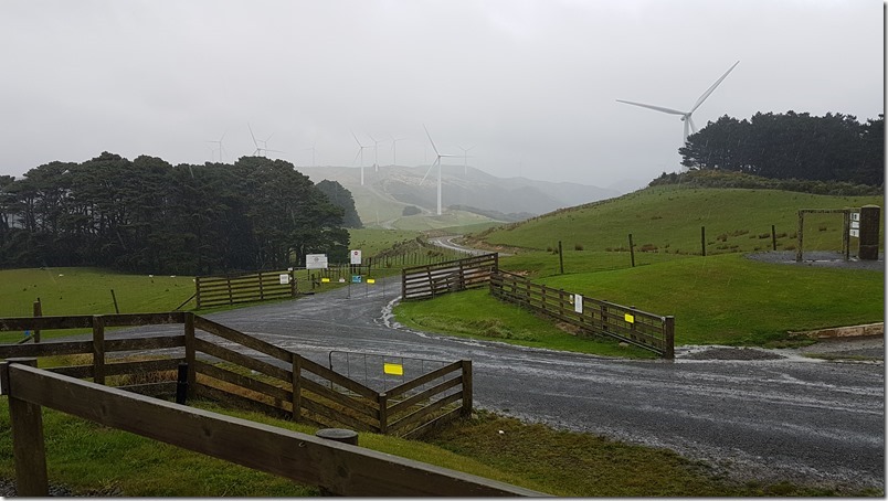 Makora Windfarm