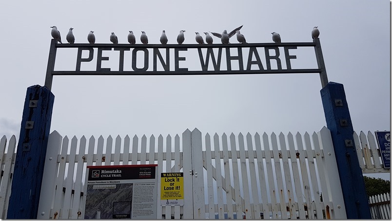 Petone waterfront views