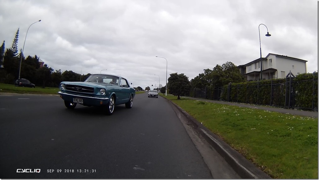 Mustang_MG_0135_Moment