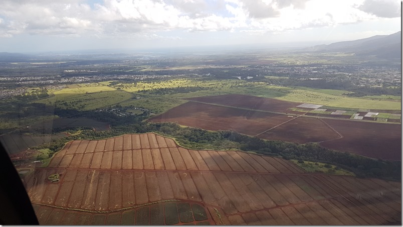 20171119_141528 20171119_141528