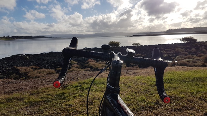 Ambury Park Manukau Views