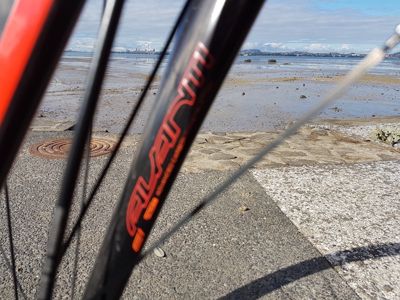 Auckland, through bike tech, from Te Atatu 