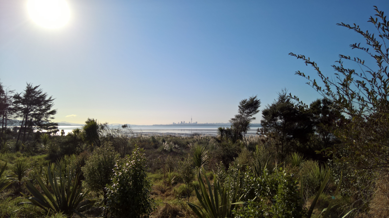 WP_20160912_08_15_03_Rich_LI