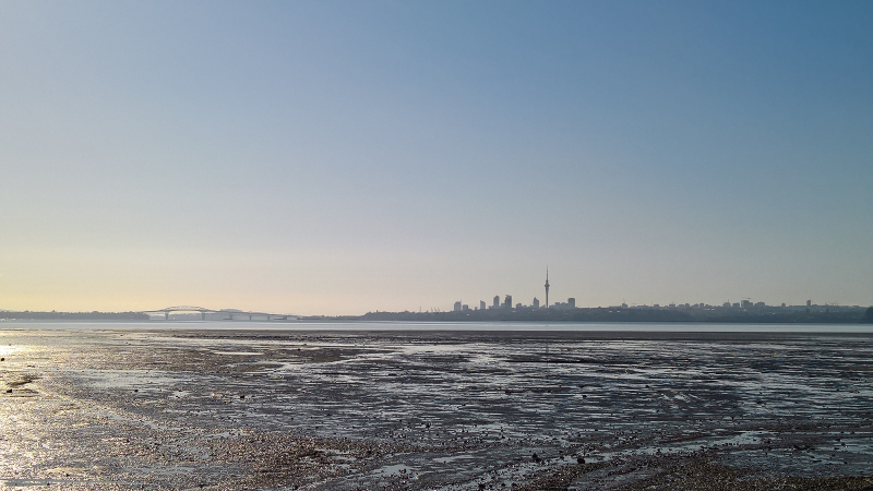 WP_20160912_08_20_34_Rich_LI