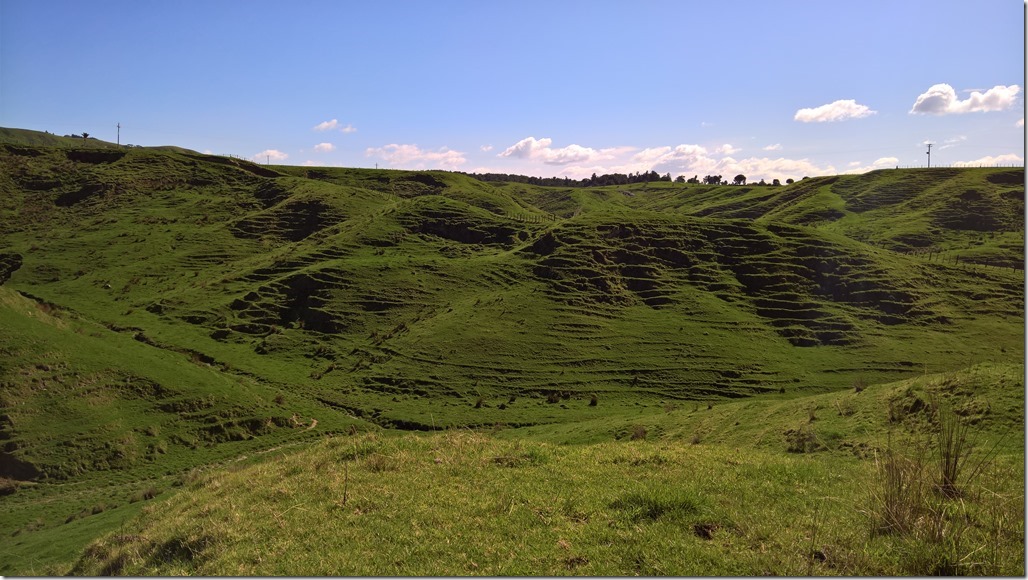 WP_20160827_12_38_58_Rich_LI