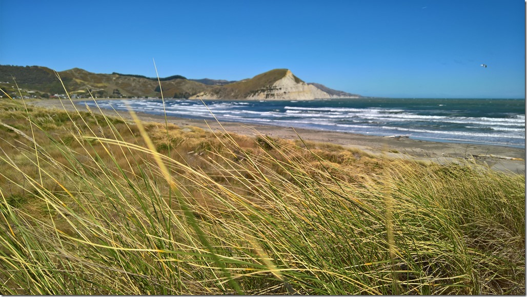 WP_20160827_13_36_18_Rich