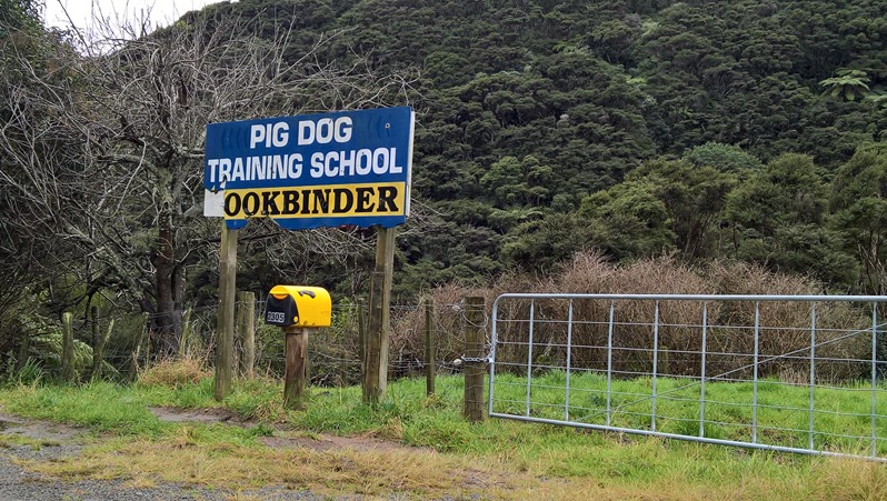 WP_20160825_09_49_59_Rich_LI