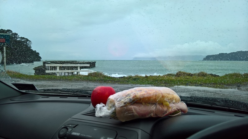 WP_20160825_12_56_01_Rich_LI