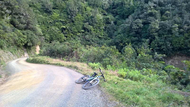 WP_20160824_09_26_38_Rich