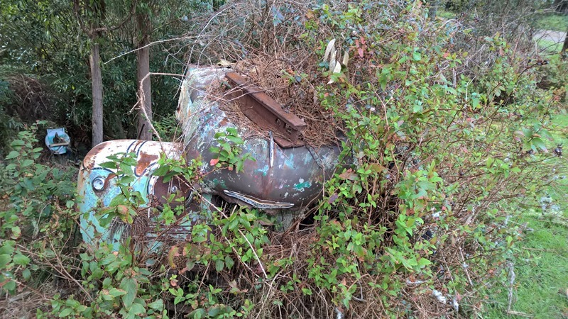 WP_20160824_10_38_46_Rich