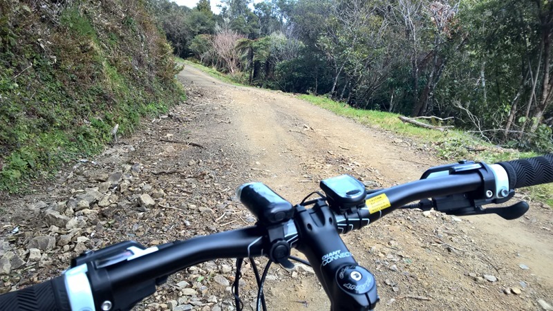 WP_20160824_11_03_50_Rich