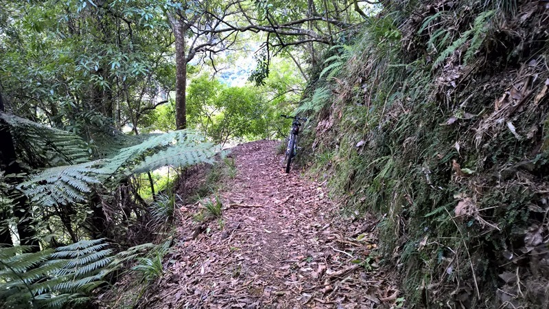 WP_20160824_13_35_49_Pro