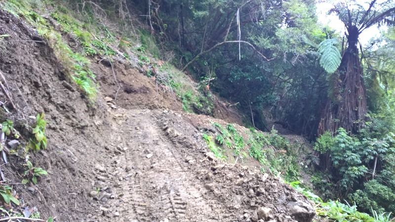 WP_20160824_13_51_37_Pro