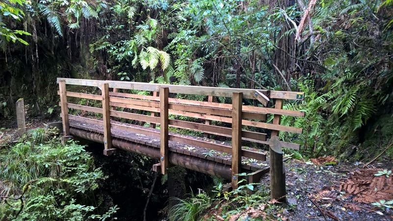 WP_20160824_13_04_26_Pro