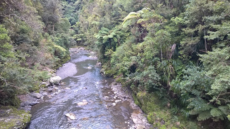 WP_20160824_13_55_52_Pro