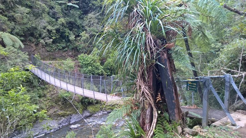 WP_20160824_13_54_55_Pro